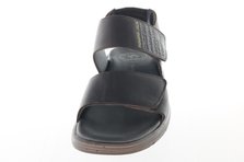 Panama Jack Rusell.C2 Frontalansicht