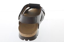 Panama Jack Stanley.C1 R&uuml;ckansicht