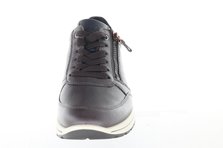 Ara 11-24501-19 Frontalansicht