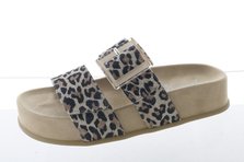 Paul Green 6157-000 Seitenansicht