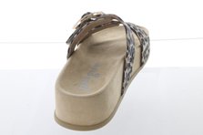 Paul Green 6157-000 R&uuml;ckansicht