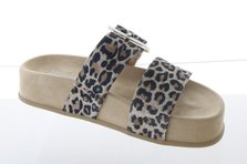 Paul Green 6157-000 Innenansicht