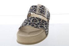 Paul Green 6157-000 Frontalansicht