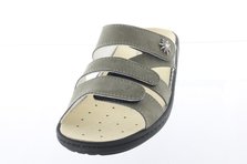 Algemare GERDA.7123 Frontalansicht