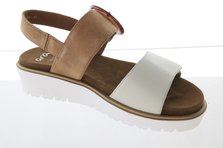 Ara 12-33505-09 Innenansicht