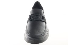 Ara 12-23911-01 Frontalansicht