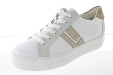 Paul Green 5430-060 Hauptansicht