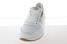 Ara 12-25510-04 Frontalansicht