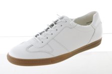 Paul Green 5405-037 Hauptansicht