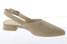 Paul Green 6163-010 Innenansicht