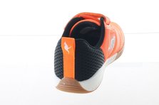 Kangaroos 18611/7950 Rückansicht