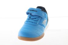 Kangaroos 18611/4298 Frontalansicht
