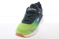 Kangaroos 10171/4054 Frontalansicht